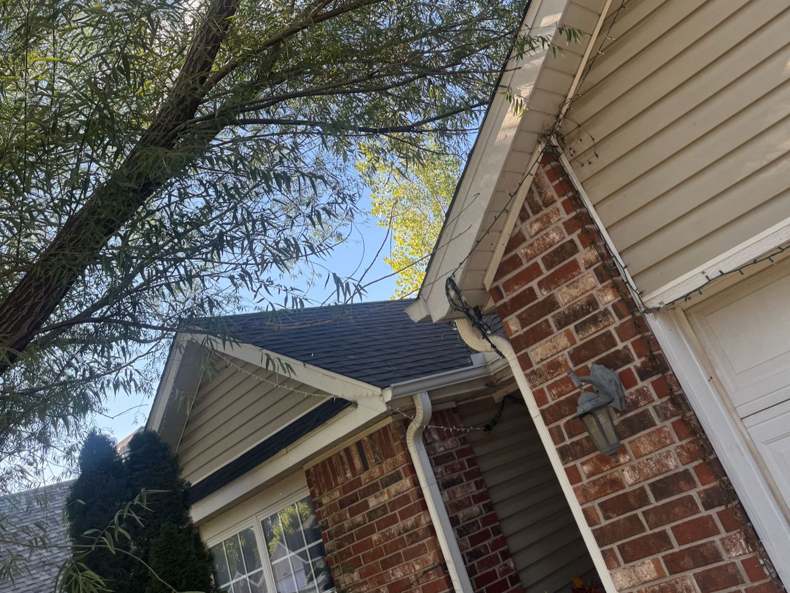 Caceres Tree Service