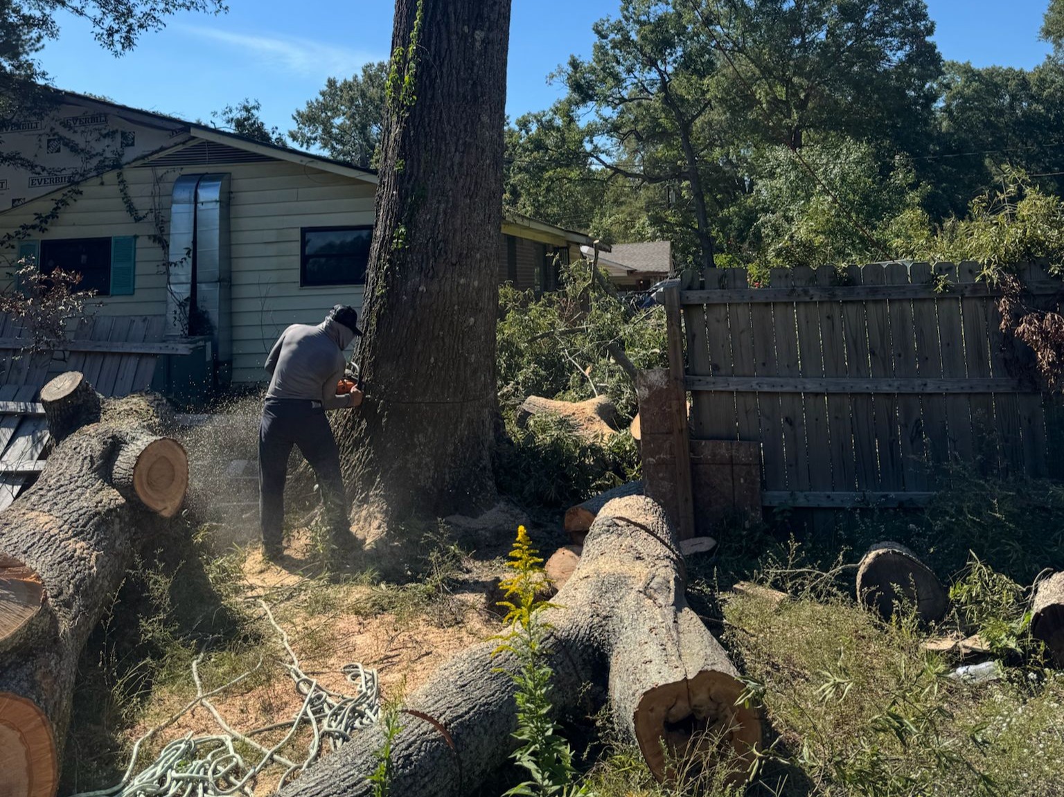 Caceres Tree Service