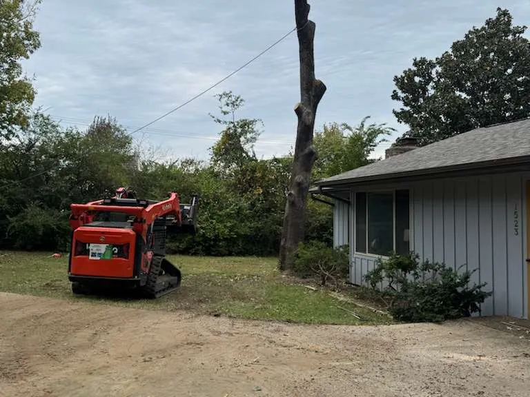 Caceres Tree Service