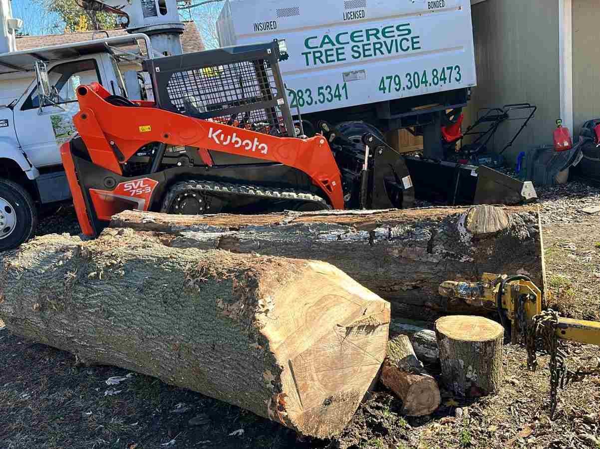Caceres Tree Service