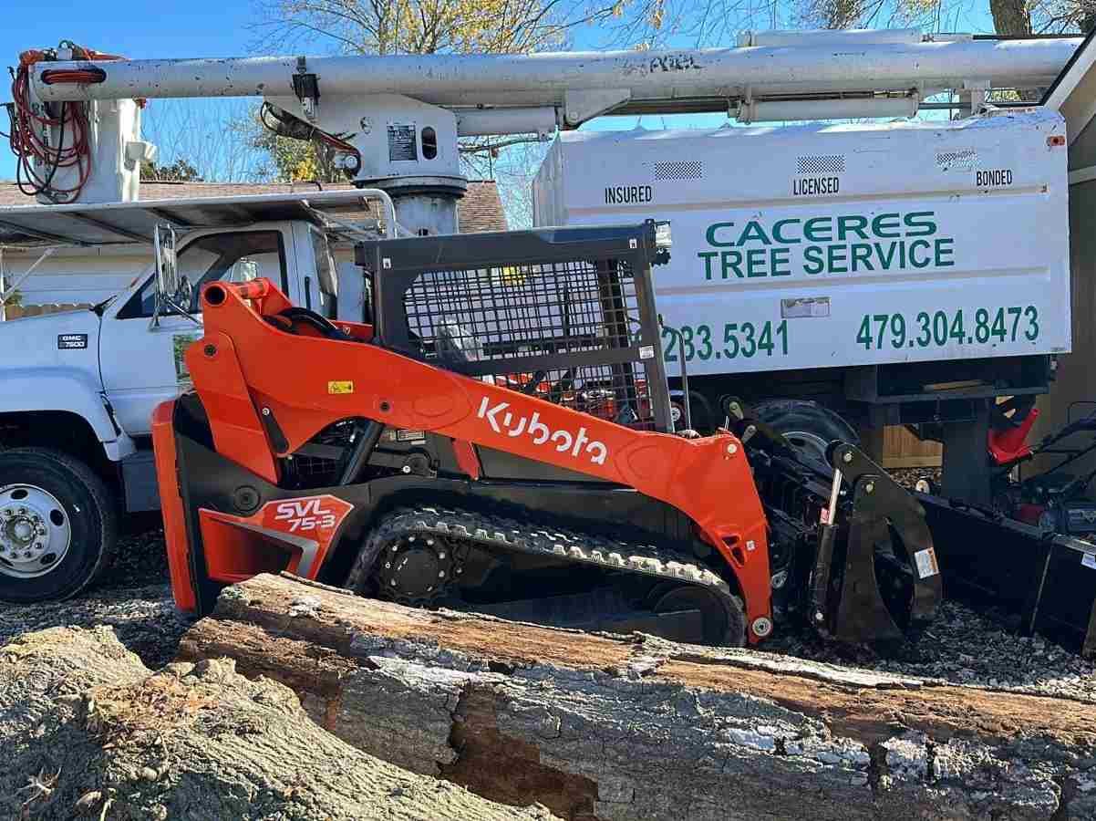 Caceres Tree Service