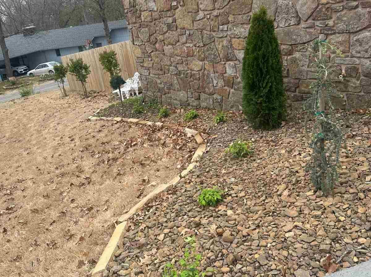 Caceres Tree Service