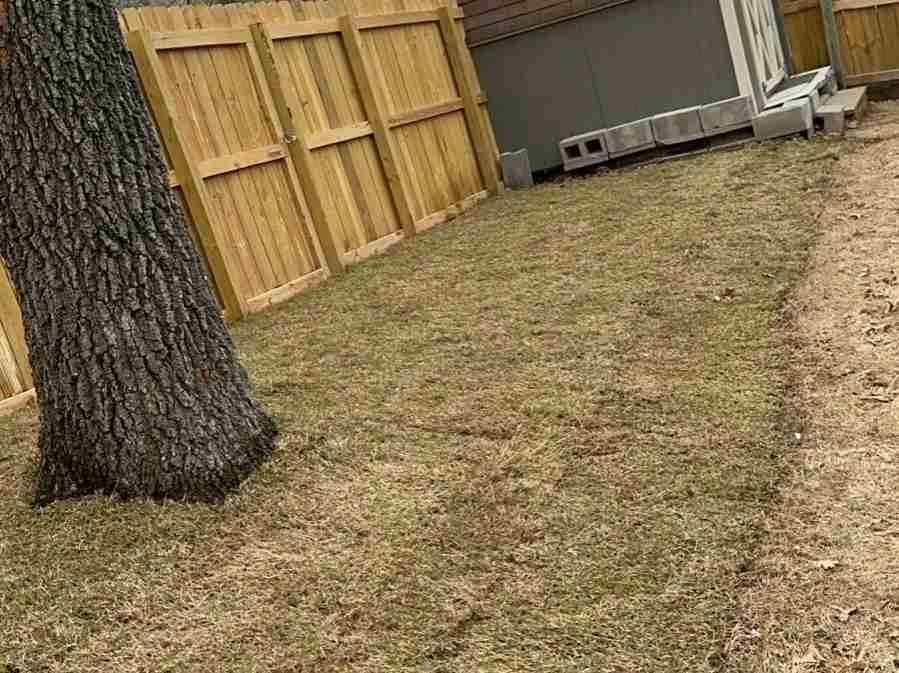 Caceres Tree Service