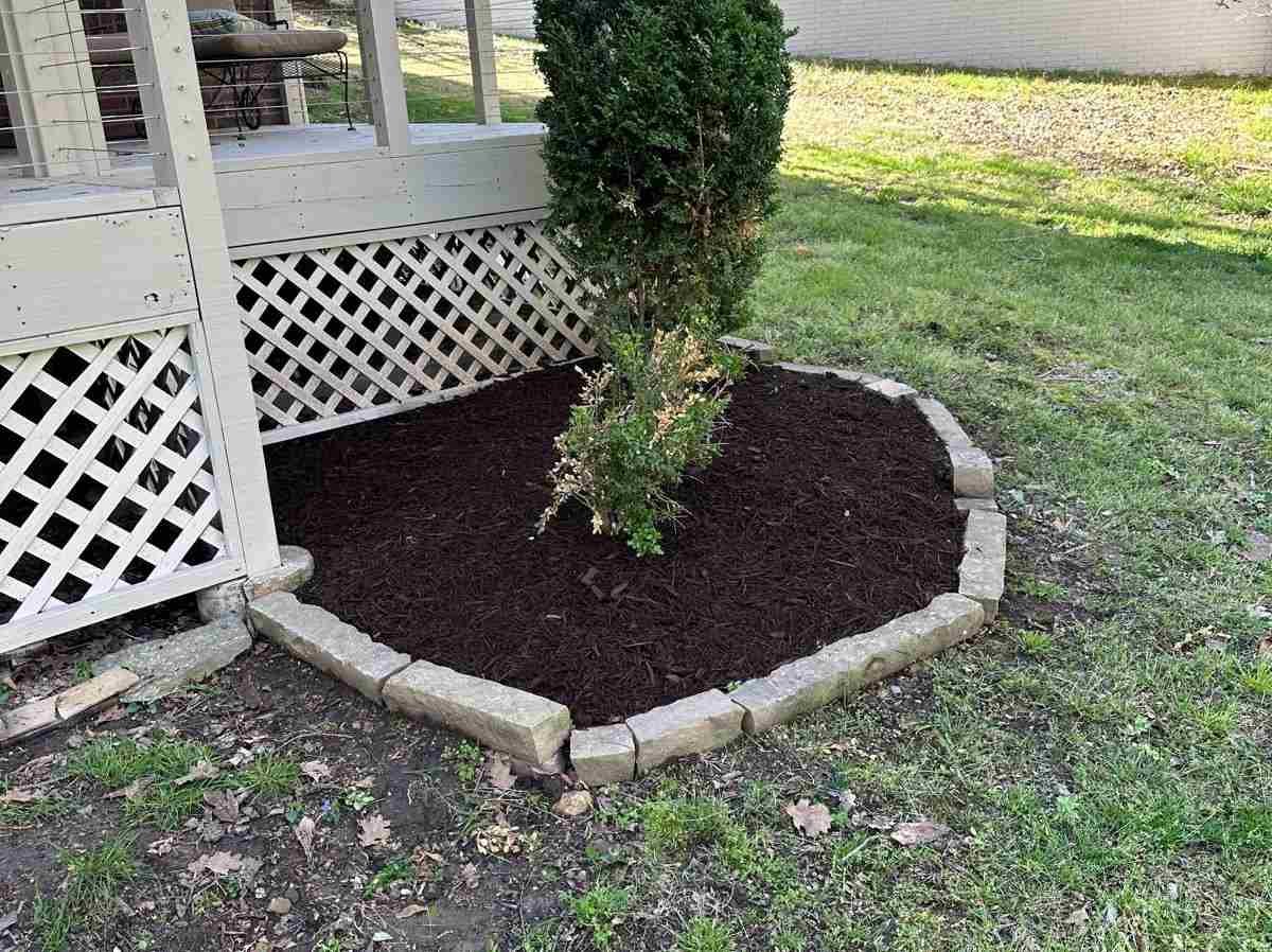 Caceres Tree Service