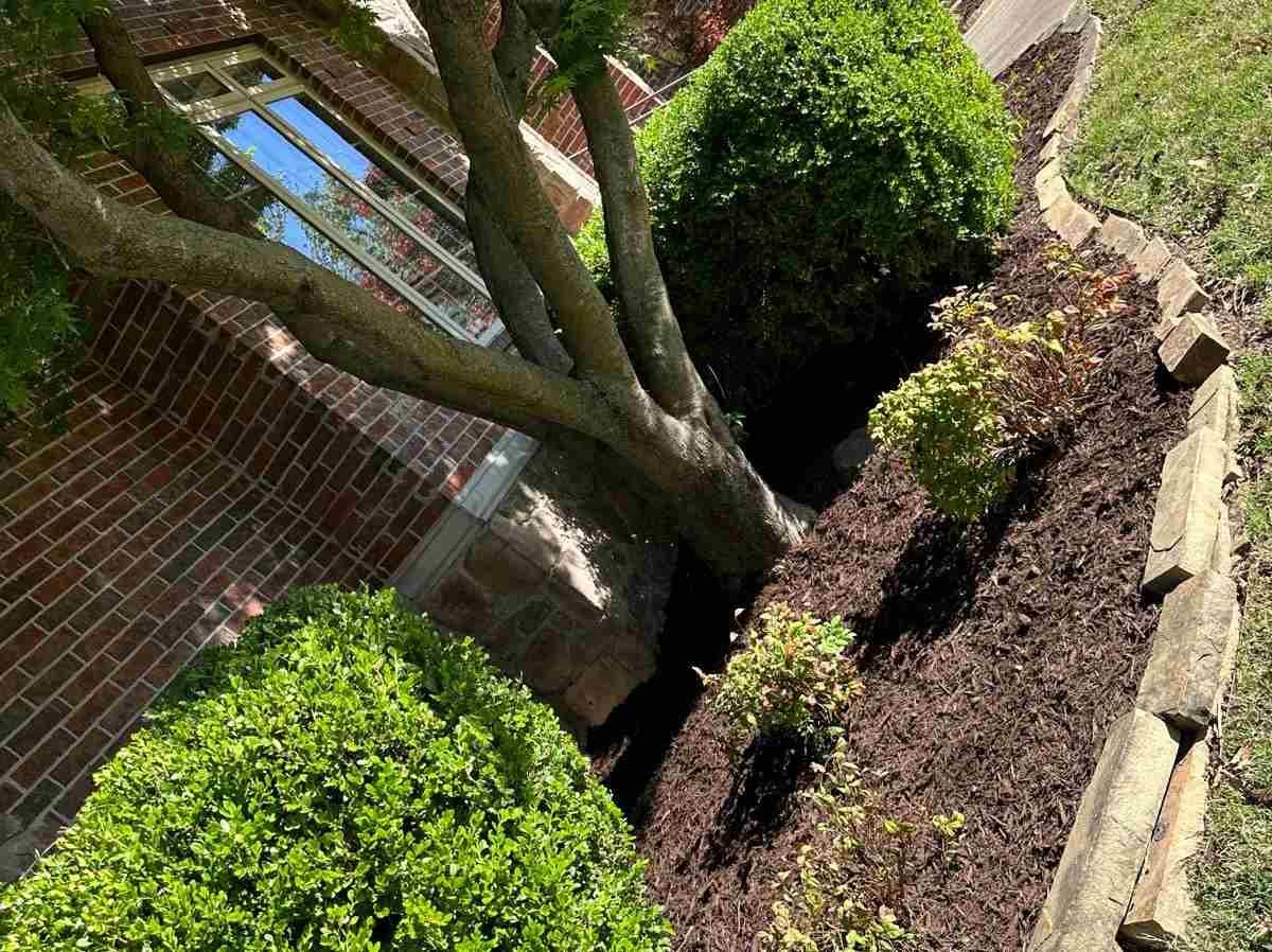 Caceres Tree Service