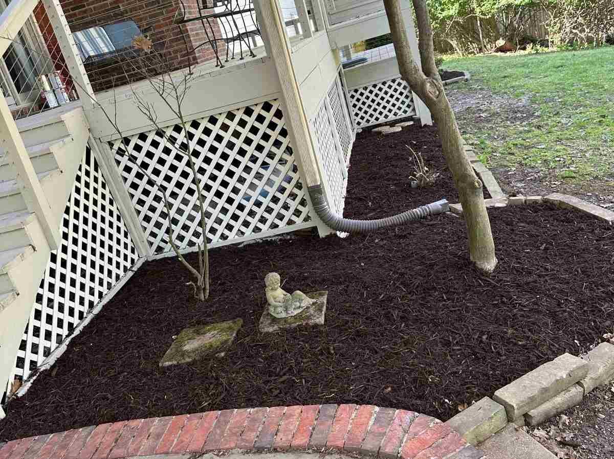 Caceres Tree Service