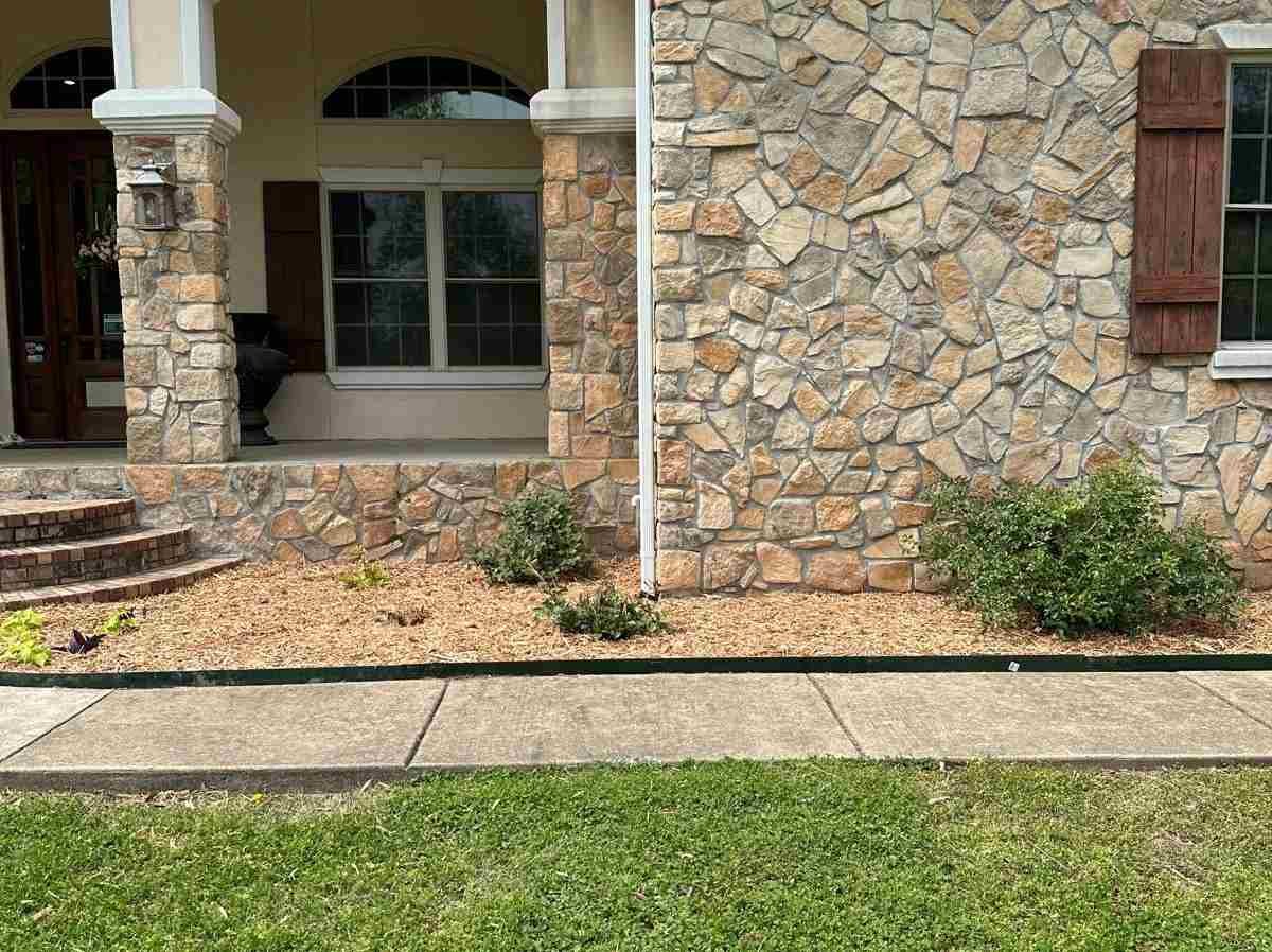 Caceres Tree Service