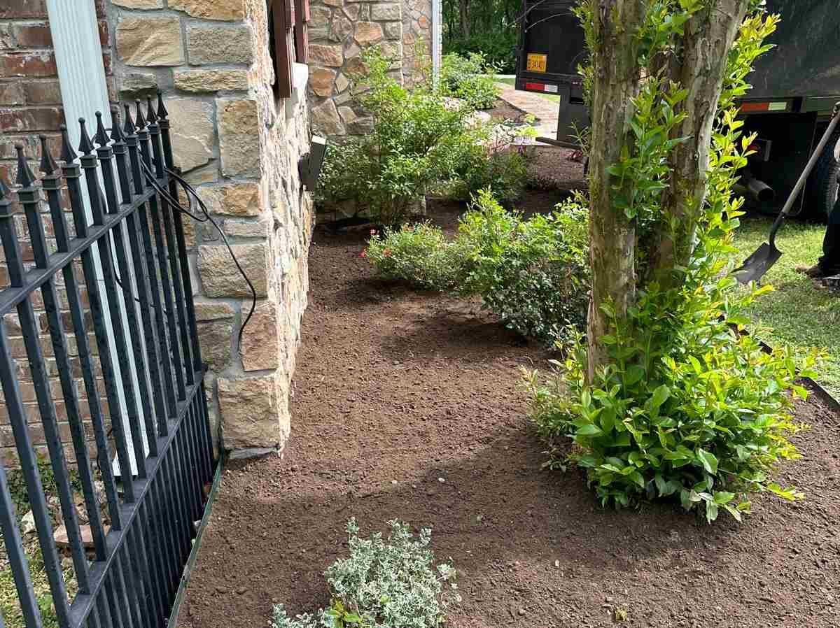 Caceres Tree Service