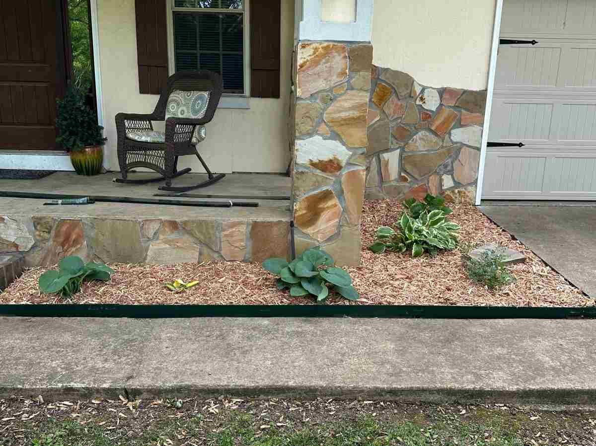 Caceres Tree Service