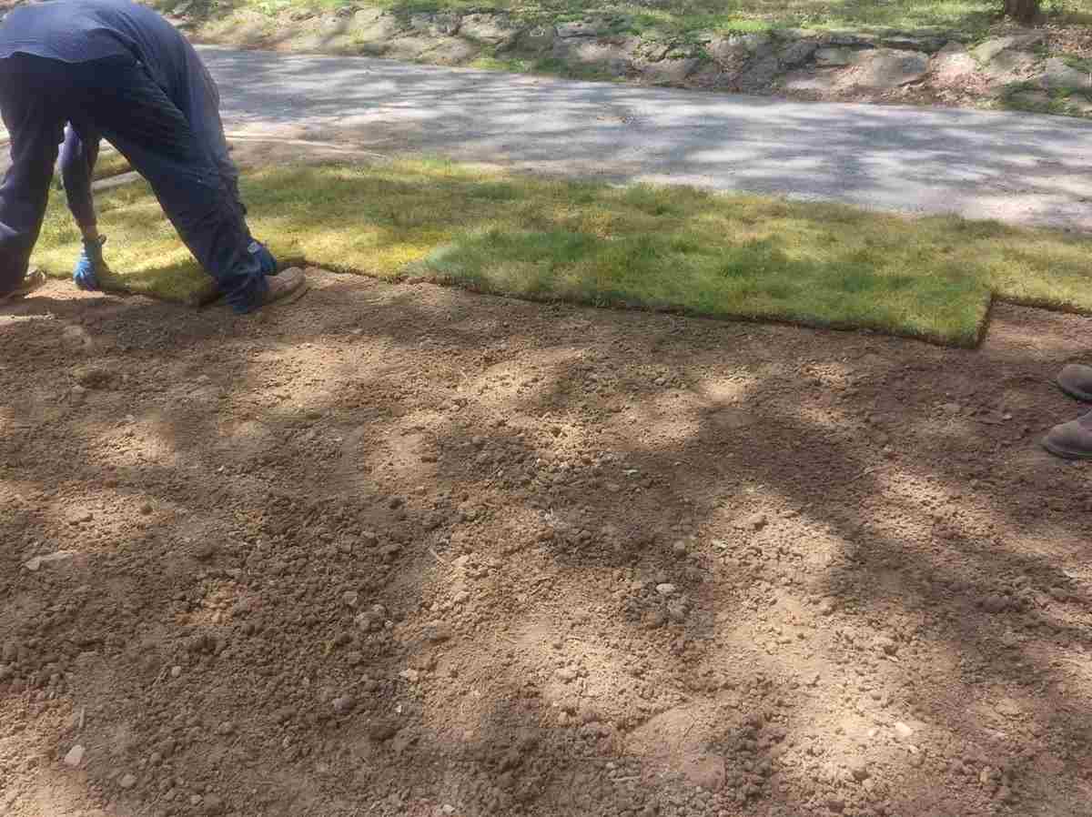 Caceres Tree Service