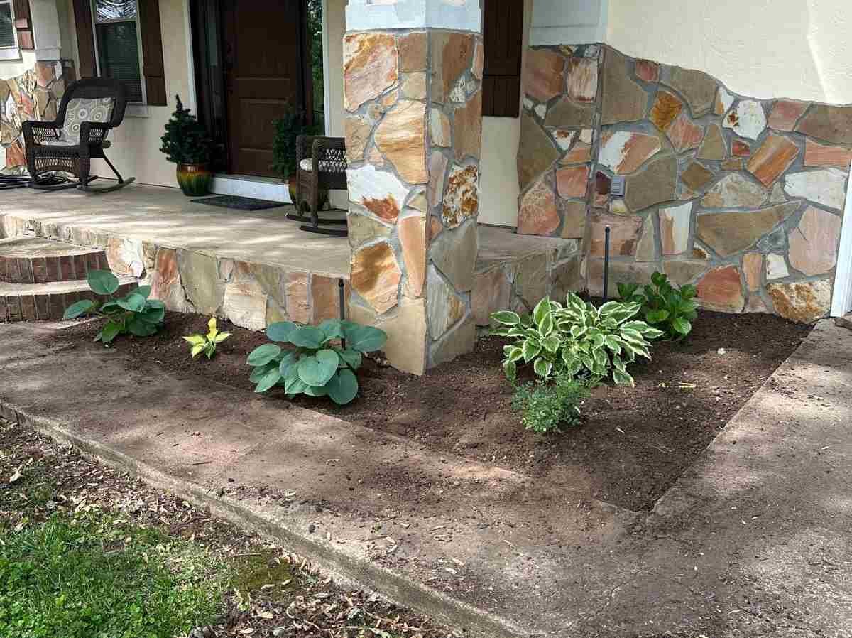 Caceres Tree Service