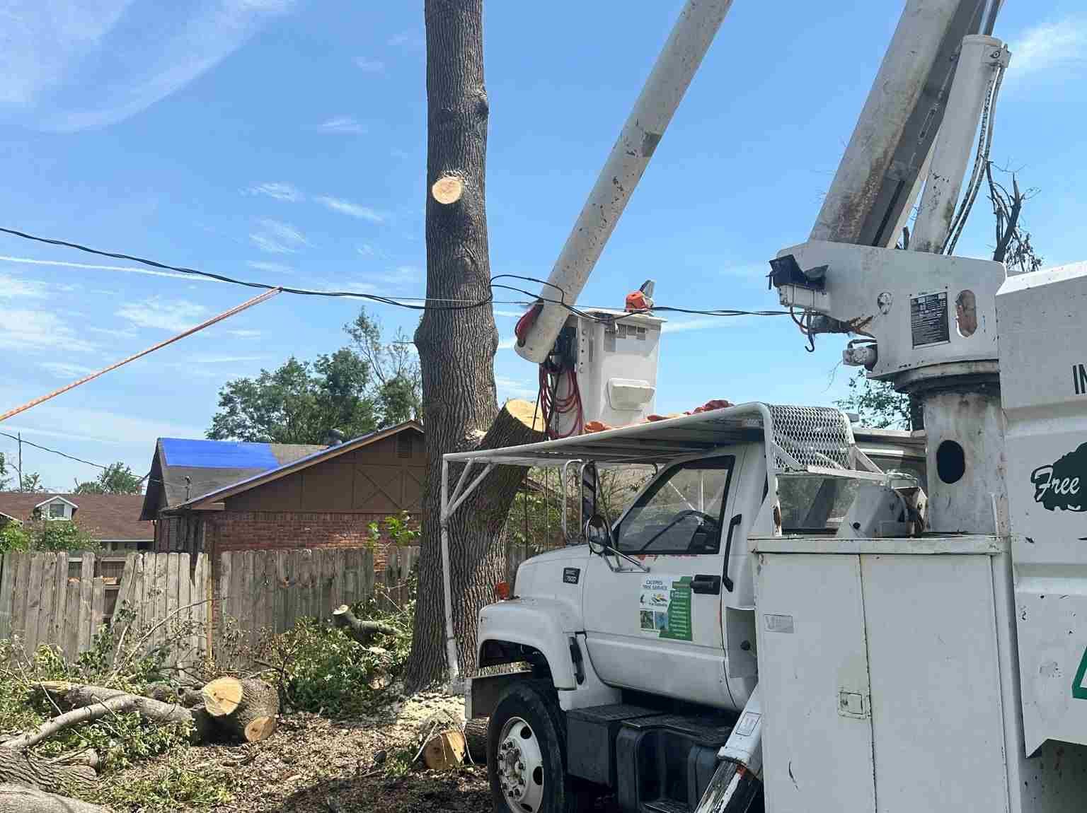 Caceres Tree Service