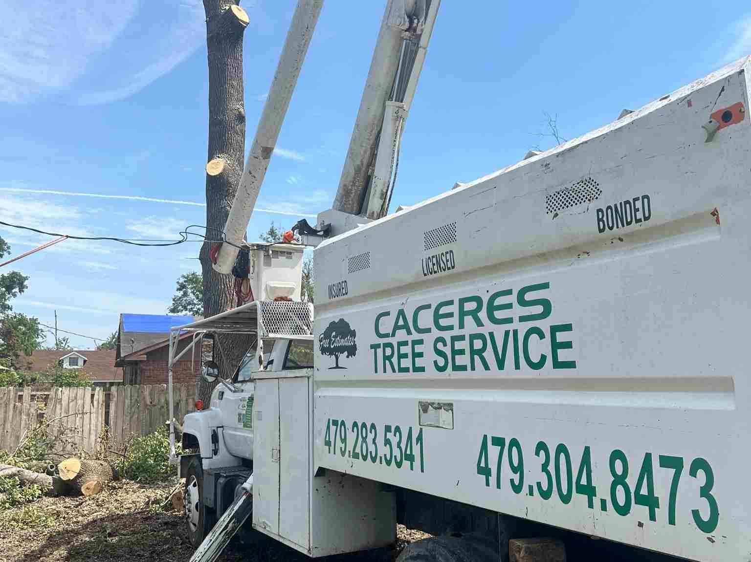 Caceres Tree Service