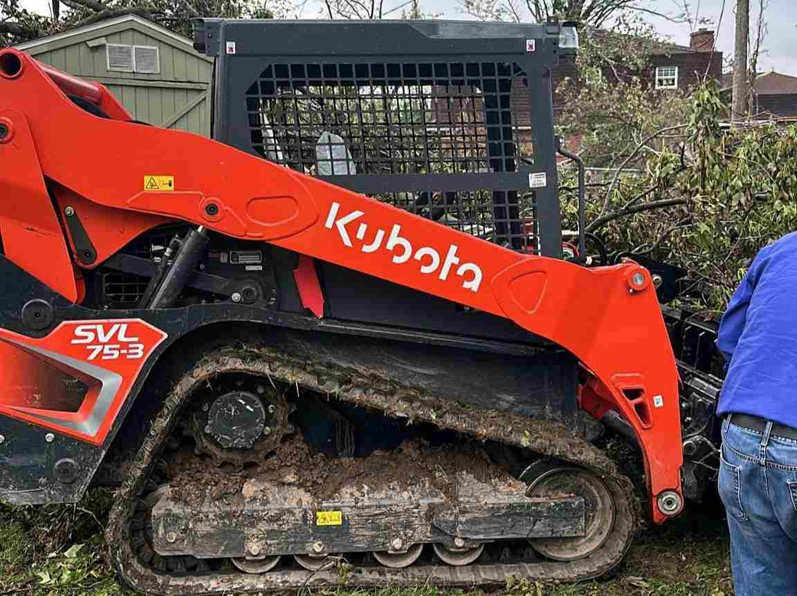 Caceres Tree Service
