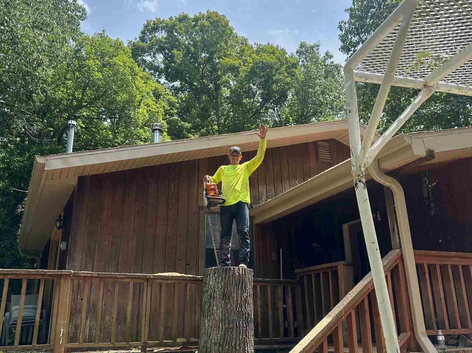 Caceres Tree Service