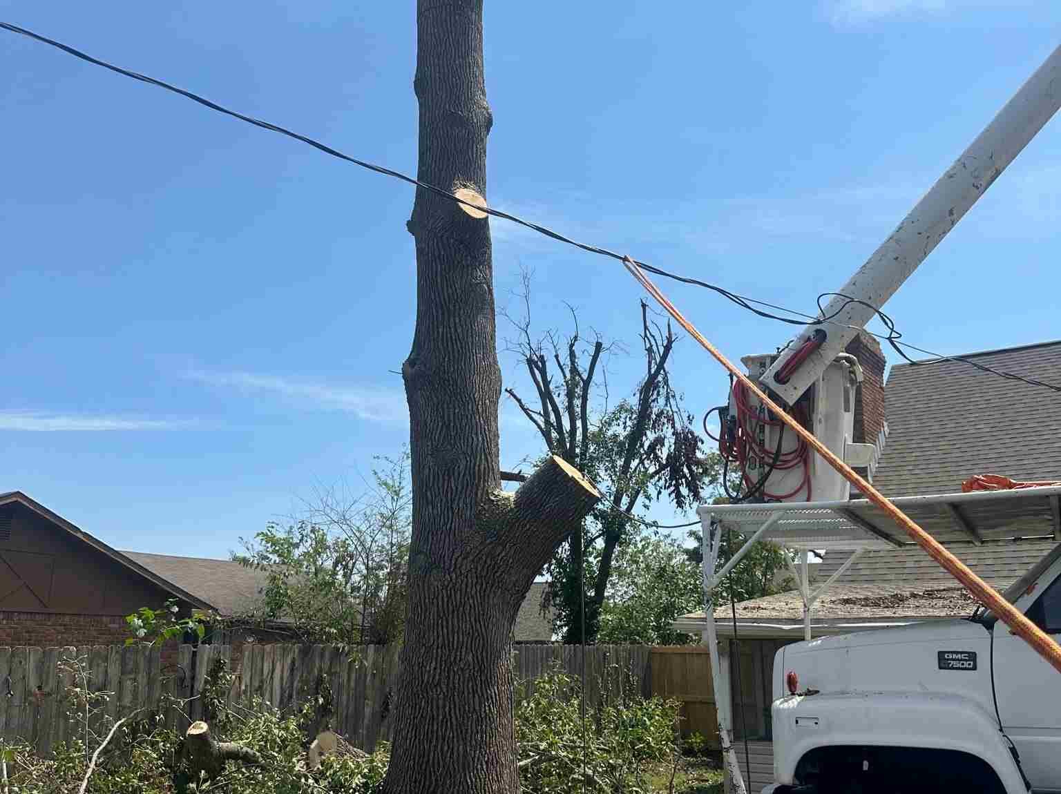 Caceres Tree Service